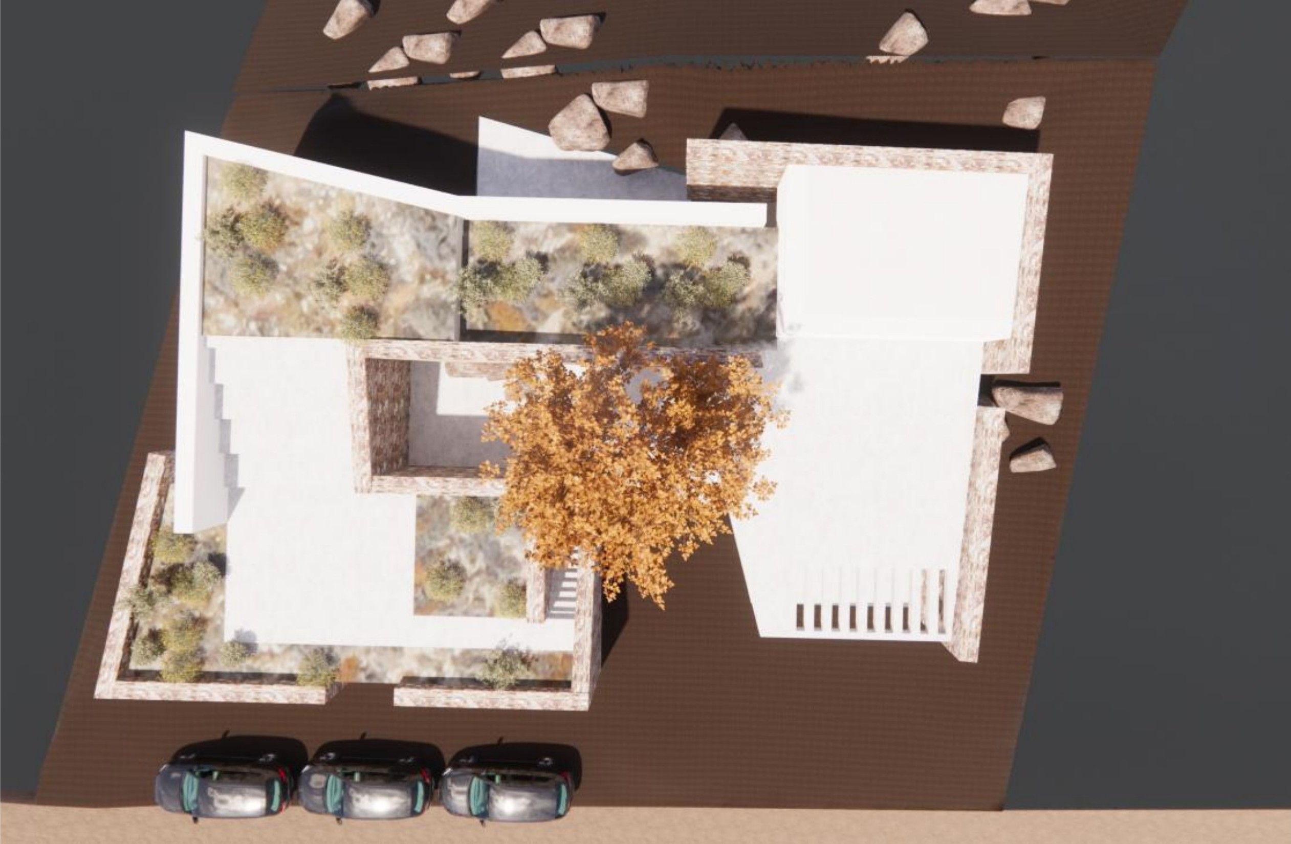 Early roof plan study by REACT Architects.